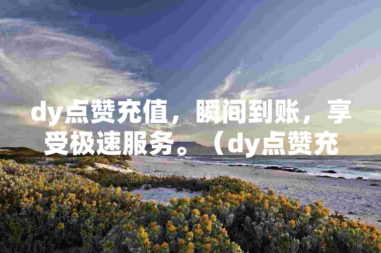 dy点赞充值，瞬间到账，享受极速服务。（dy点赞充值，秒速到账-畅享快捷体验）