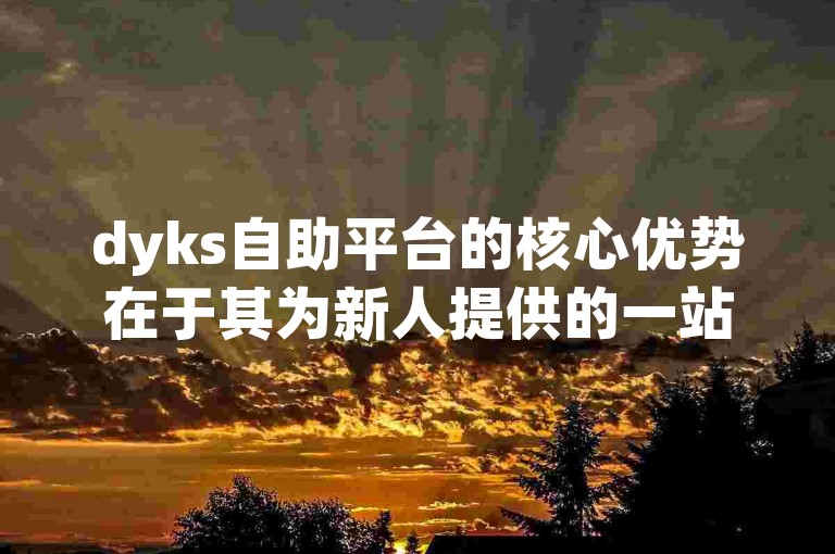 dyks自助平台的核心优势在于其为新人提供的一站式高效SEO服务，极大地简化了网站优化流程。
