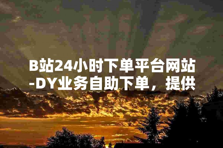B站24小时下单平台网站-DY业务自助下单，提供全天候不间断的便捷服务。