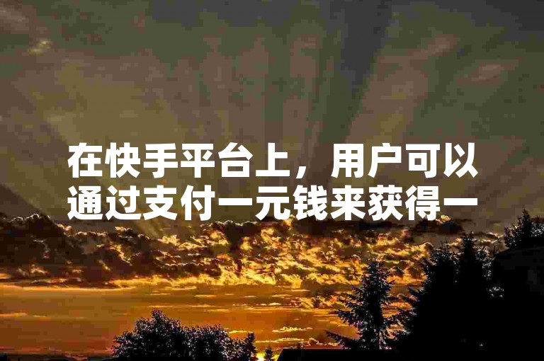 在快手平台上，用户可以通过支付一元钱来获得一定数量的点赞，以此增加视频的曝光度和受欢迎程度。