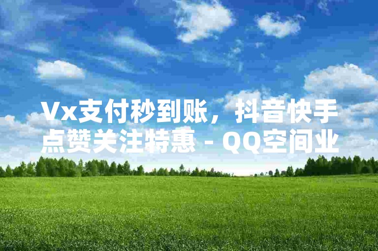 Vx支付秒到账，抖音快手点赞关注特惠 - QQ空间业务超值优惠，全网最低价！