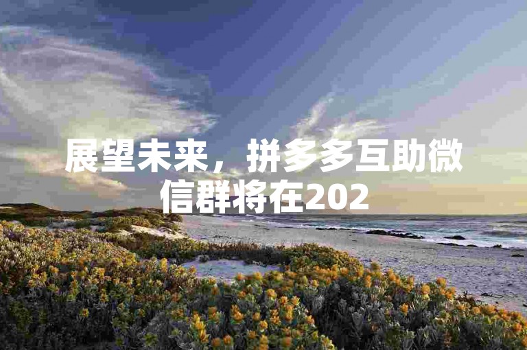 展望未来，拼多多互助微信群将在2025年展现出全新的风貌。