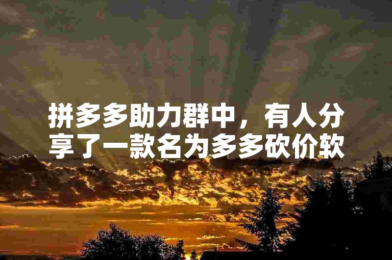 拼多多助力群中，有人分享了一款名为多多砍价软件的实用工具。