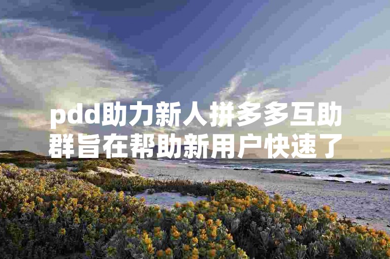 pdd助力新人拼多多互助群旨在帮助新用户快速了解平台规则，通过互帮互助提升购物体验。
