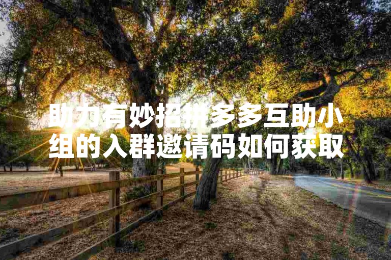 助力有妙招拼多多互助小组的入群邀请码如何获取？