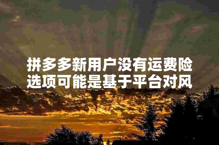 拼多多新用户没有运费险选项可能是基于平台对风险控制的考量，旨在确保交易的真实性和稳定性。