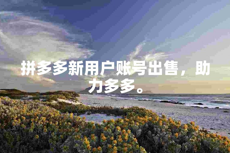 拼多多新用户账号出售，助力多多。