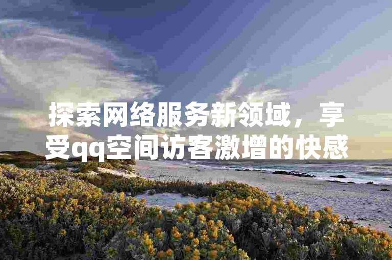 探索网络服务新领域，享受qq空间访客激增的快感，体验dy平台24小时不间断的在线下单便捷，揭秘ks业务推广背后的策略与技巧！