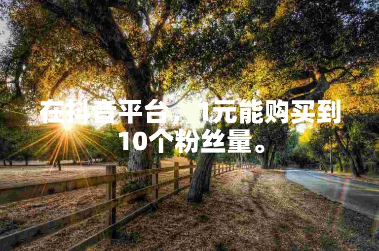 在抖音平台，1元能购买到10个粉丝量。