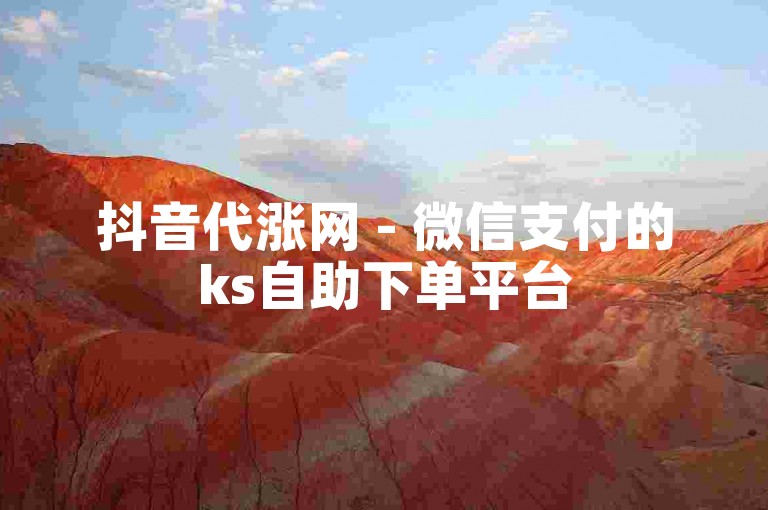 抖音代涨网 - 微信支付的ks自助下单平台