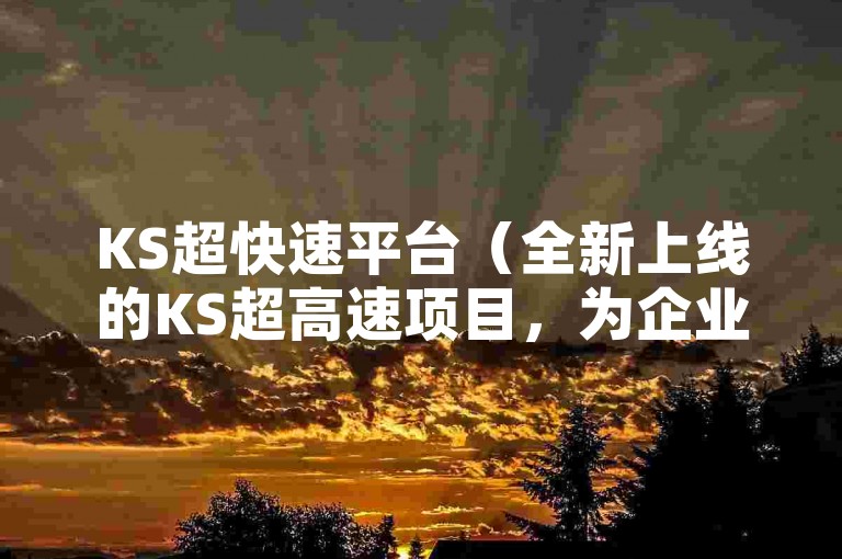 KS超快速平台（全新上线的KS超高速项目，为企业加速发展提供动力）