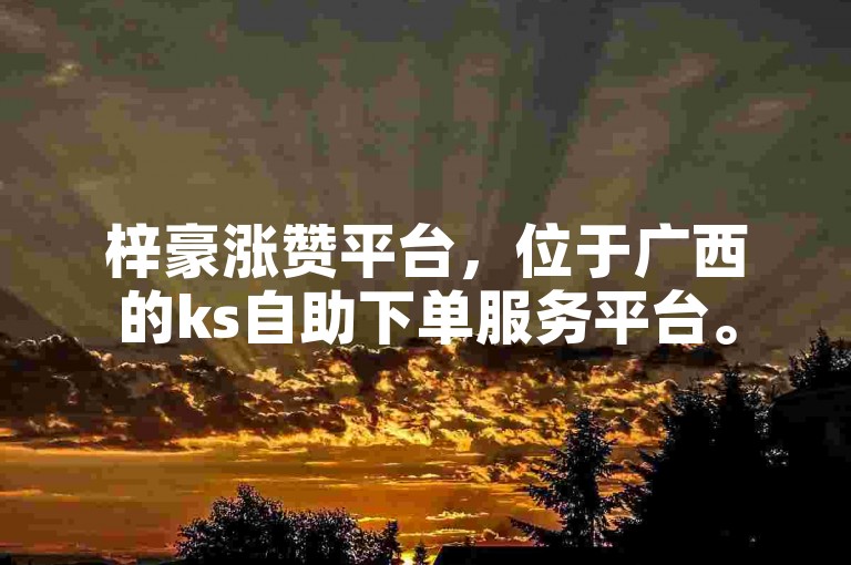梓豪涨赞平台，位于广西的ks自助下单服务平台。