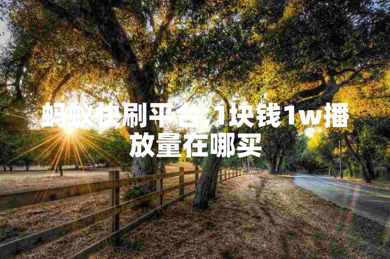 蚂蚁快刷平台,1块钱1w播放量在哪买