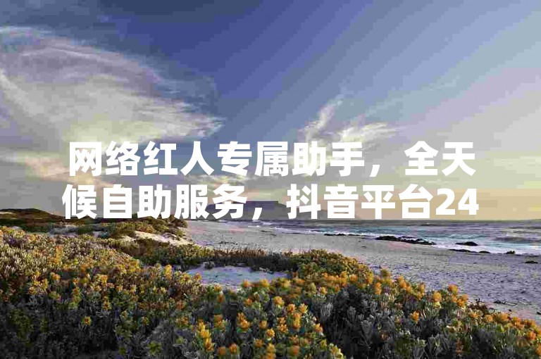 网络红人专属助手，全天候自助服务，抖音平台24小时无缝接单，资金即时到账。