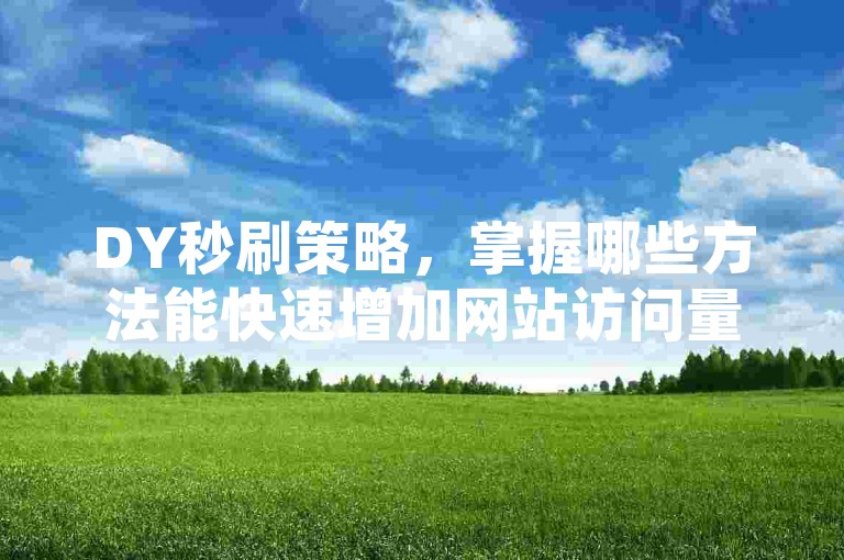 DY秒刷策略，掌握哪些方法能快速增加网站访问量并优化搜索引擎排名。