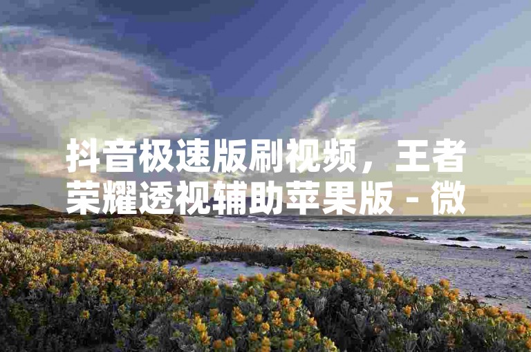 抖音极速版刷视频，王者荣耀透视辅助苹果版 - 微信红包福利群 - 每周抢50000现金红包。