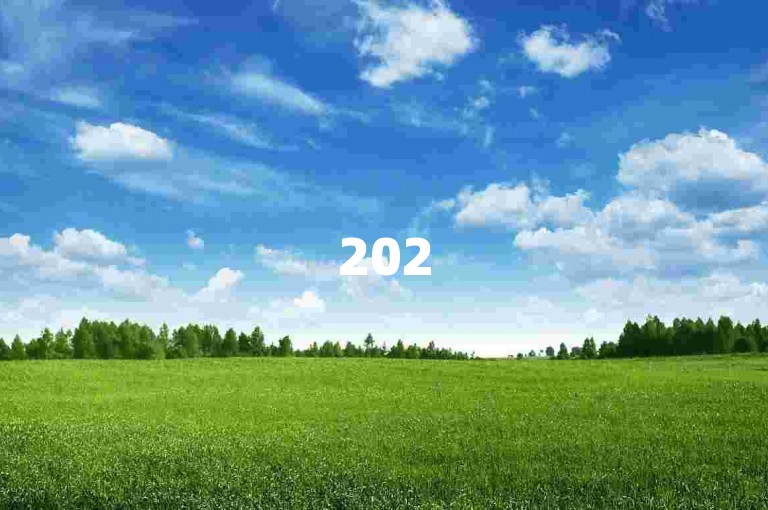 2025年，拼多多为新注册用户提供专属助力群，帮助新人快速融入平台。