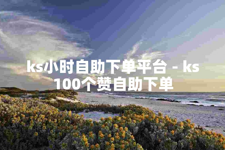ks小时自助下单平台 - ks100个赞自助下单