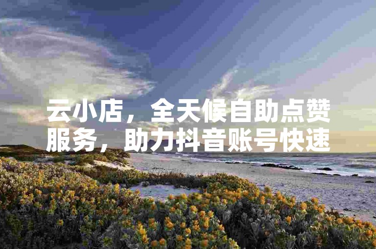 云小店，全天候自助点赞服务，助力抖音账号快速成长。