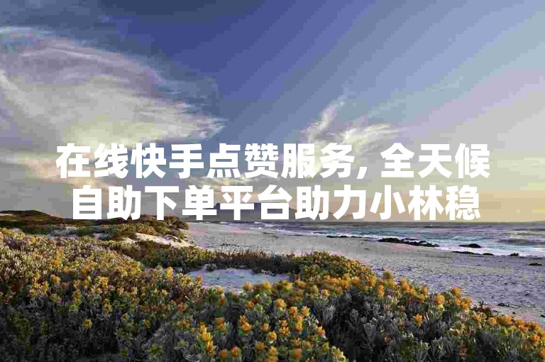 在线快手点赞服务, 全天候自助下单平台助力小林稳定提升。