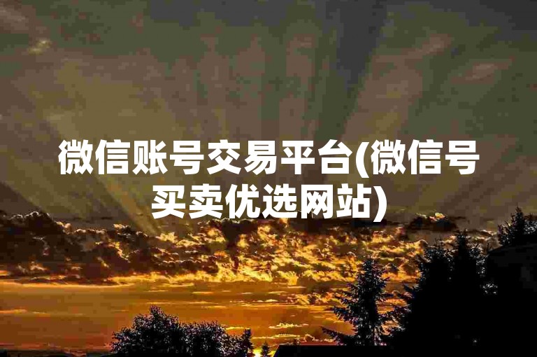 微信账号交易平台(微信号买卖优选网站)