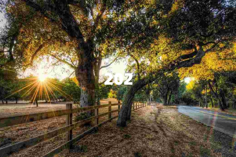 2025年，拼多多互助群将转型为{拼多多助力交流社区}。