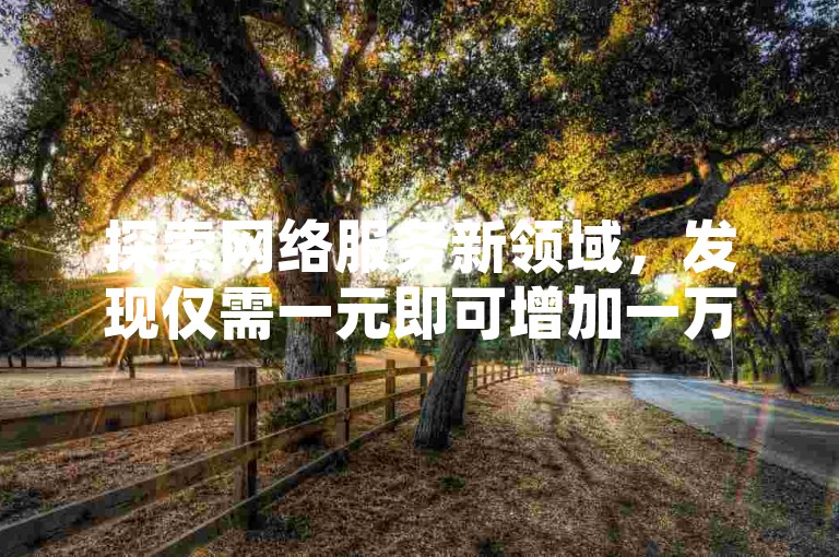 探索网络服务新领域，发现仅需一元即可增加一万空间访客量的神奇网站，同时教你如何检查QQ是否已开通会员功能。