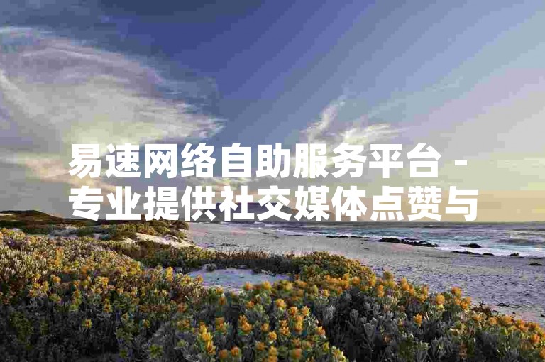 易速网络自助服务平台 - 专业提供社交媒体点赞与空间人气增长解决方案