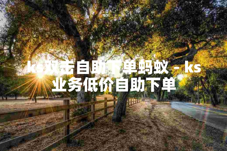 ks双击自助下单蚂蚁 - ks业务低价自助下单