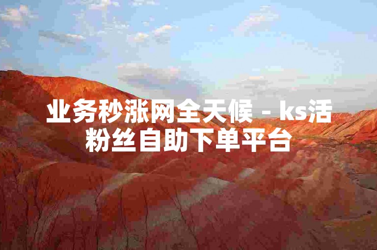 业务秒涨网全天候 - ks活粉丝自助下单平台