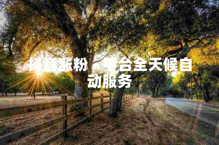 抖音涨粉 - 平台全天候自动服务