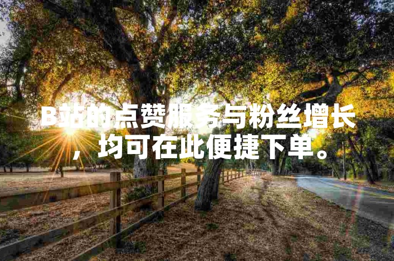 B站的点赞服务与粉丝增长，均可在此便捷下单。