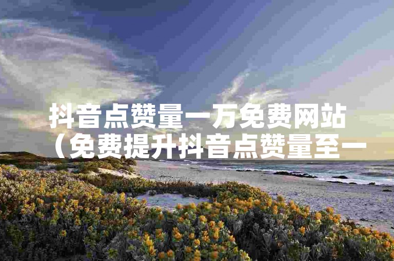抖音点赞量一万免费网站（免费提升抖音点赞量至一万的网站推荐）