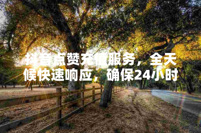 抖音点赞充值服务，全天候快速响应，确保24小时内到账。
