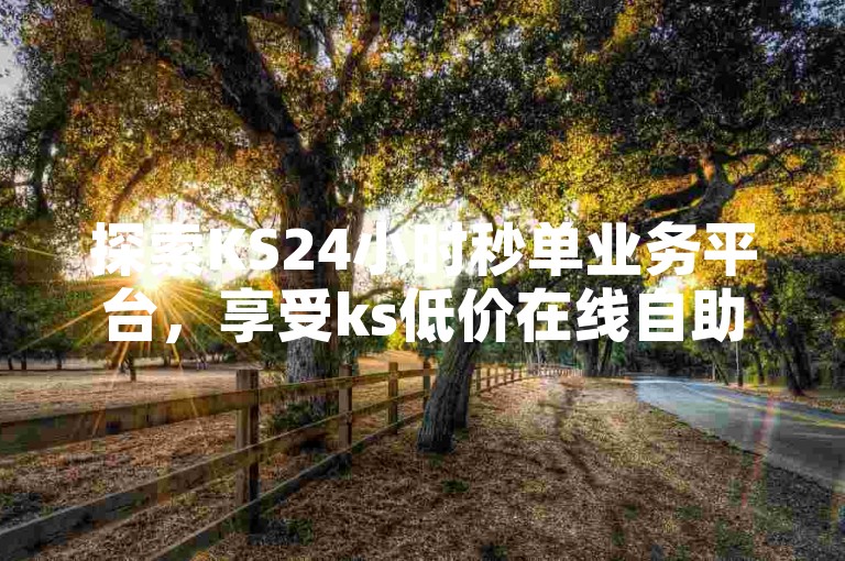 探索KS24小时秒单业务平台，享受ks低价在线自助下单平台的便捷服务。