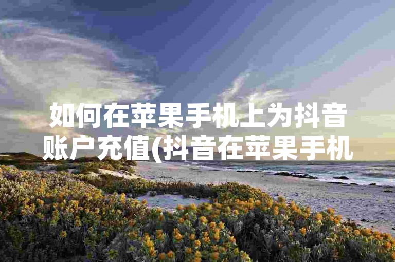 如何在苹果手机上为抖音账户充值(抖音在苹果手机上的充值流程)。