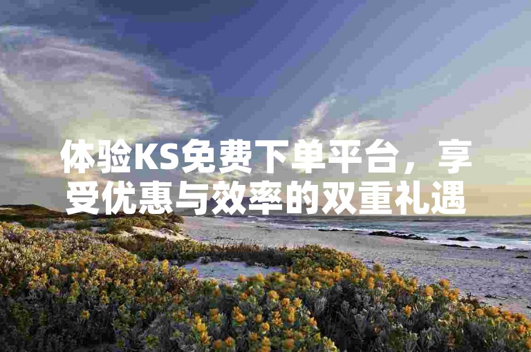 体验KS免费下单平台，享受优惠与效率的双重礼遇，轻松一点，即刻启程！