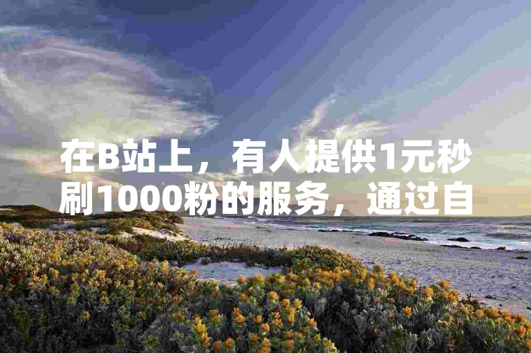 在B站上，有人提供1元秒刷1000粉的服务，通过自动发卡网进行购买。