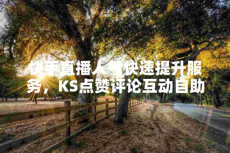 快手直播人气快速提升服务，KS点赞评论互动自助平台。