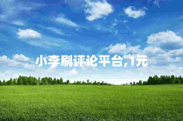 小李刷评论平台,1元500评自助购买