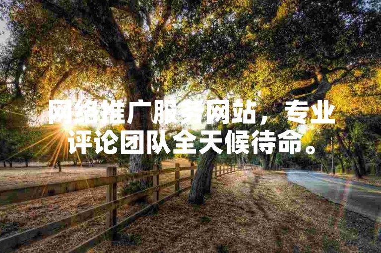 网络推广服务网站，专业评论团队全天候待命。