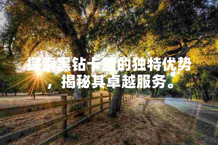 探索黑钻卡盟的独特优势，揭秘其卓越服务。