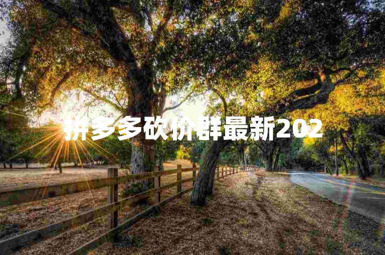 拼多多砍价群最新2025，助力群二维码分享。