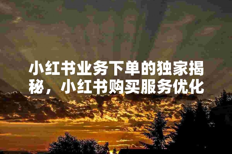 小红书业务下单的独家揭秘，小红书购买服务优化 - 提升业务下单效率！2025必学。