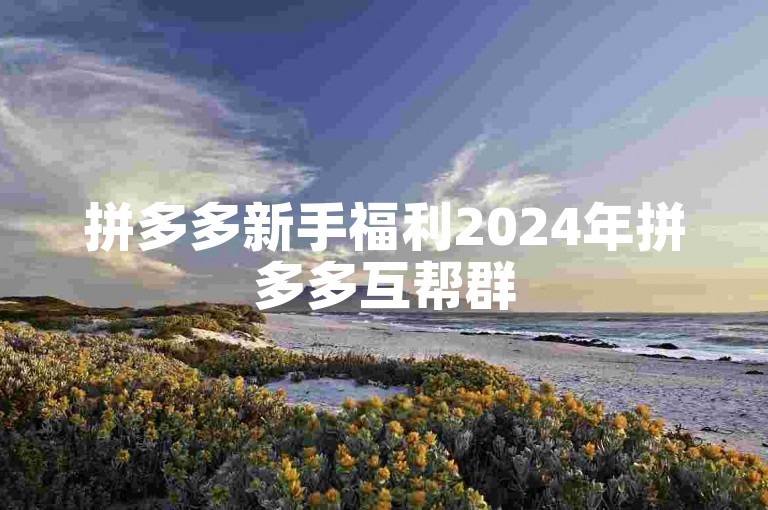 拼多多新手福利2024年拼多多互帮群