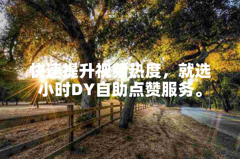 快速提升视频热度，就选小时DY自助点赞服务。