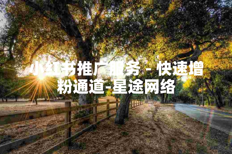 小红书推广服务 - 快速增粉通道-星途网络
