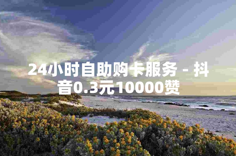 24小时自助购卡服务 - 抖音0.3元10000赞