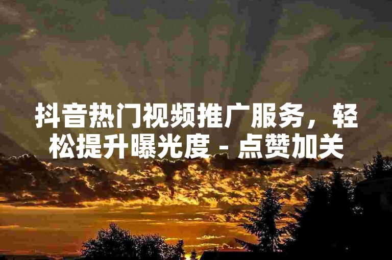 抖音热门视频推广服务，轻松提升曝光度 - 点赞加关注一站式解决方案平台。