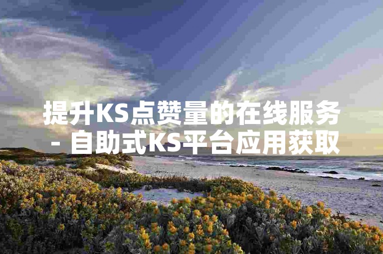 提升KS点赞量的在线服务 - 自助式KS平台应用获取